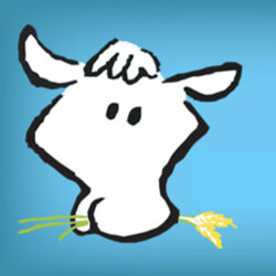 Best Budget VPS Hosting - Fatcow