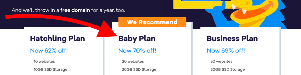 A wide range of web hosting plans available.